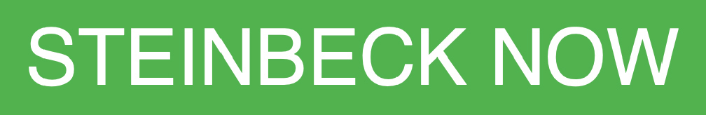 STEINBECK NOW logo