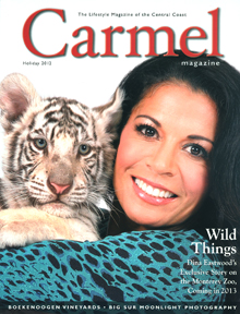 C Mag cover