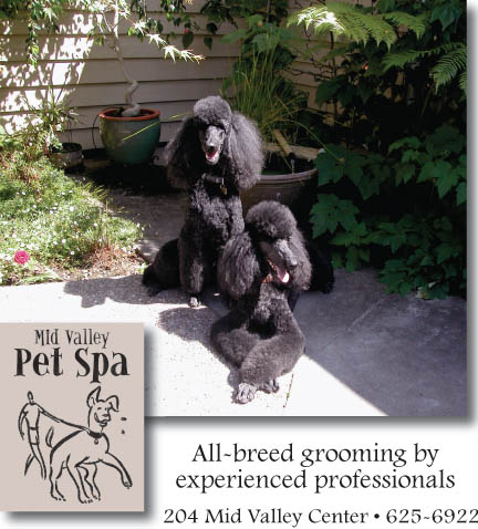 pet_spa