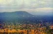 Cambodian plains